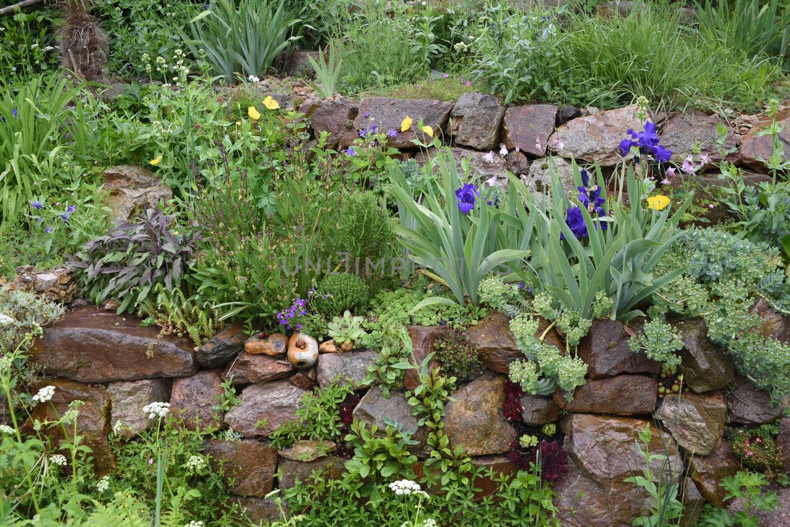 Dry stone walls in the garden are well suited for many herbs and at the same time a biotope for many animals. Dry stone walls in the garden are well suited for many herbs and at the same time a biotope for many animals.