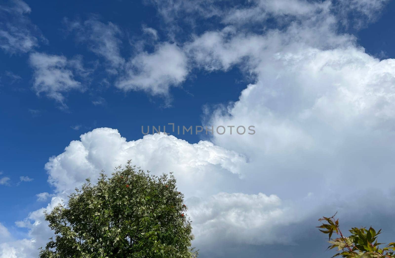 Stratocumulus,stratocumuli,commonly known as stratocumuli,are cluster layer clouds without fibers and form similar to cumulus clouds. Stratocumulus,stratocumuli,commonly known as stratocumuli,are cumulus clouds without fibers and are formed in a similar way to cumulus clouds.