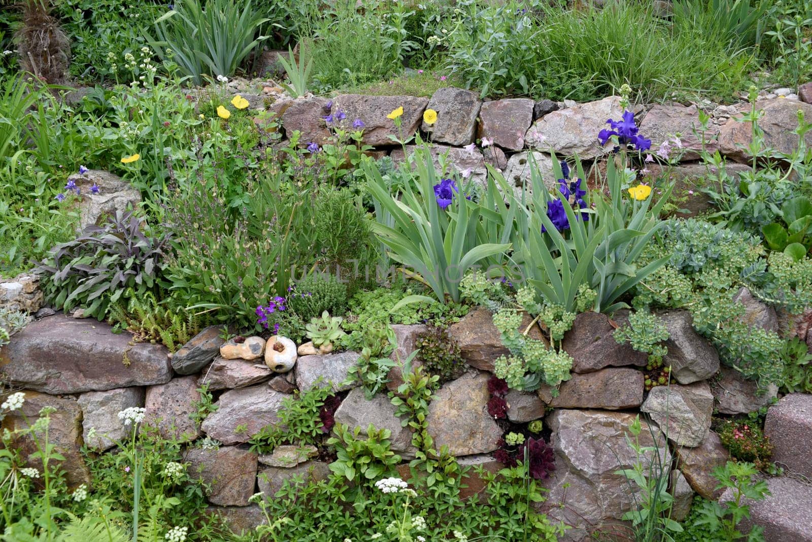 Dry stone walls in the garden are well suited for many herbs and at the same time a biotope for many animals. Dry stone walls in the garden are well suited for many herbs and at the same time a biotope for many animals.