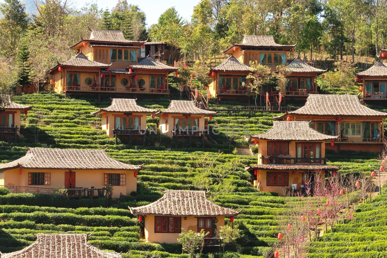 View onto traditional chinese houses within a tea plantation in the village of Ban Rak Thai, Mae Aw, close to the border to Myanmar, Mae Hong Son Loop, Thailand 2023