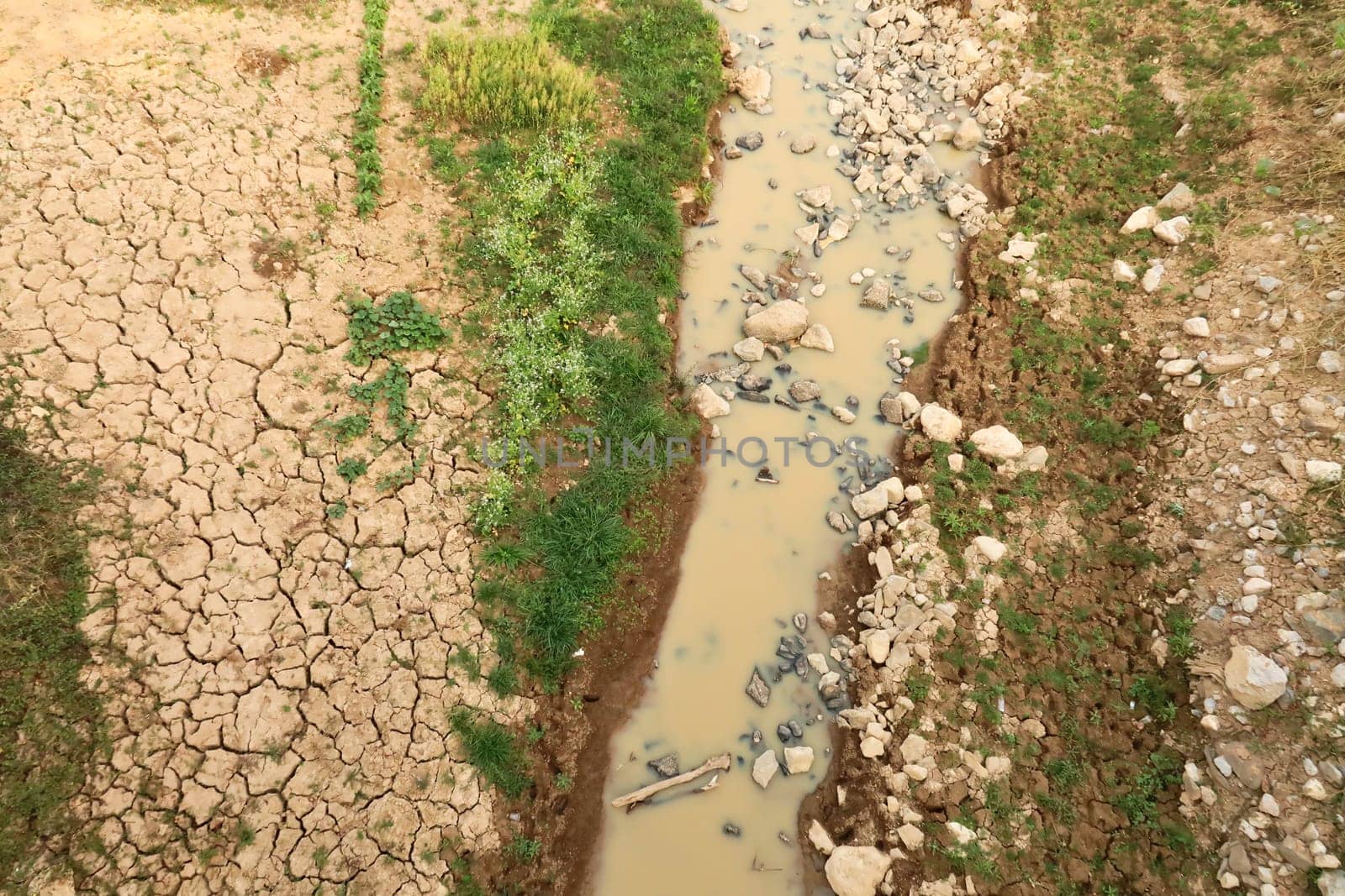 View onto an almost dried out riverbed, a small muddy stream of water next to fresh green grass, plants, herbs and dried out soil with big cracks in it, Wiang Chiang Kong, Thailand 2023