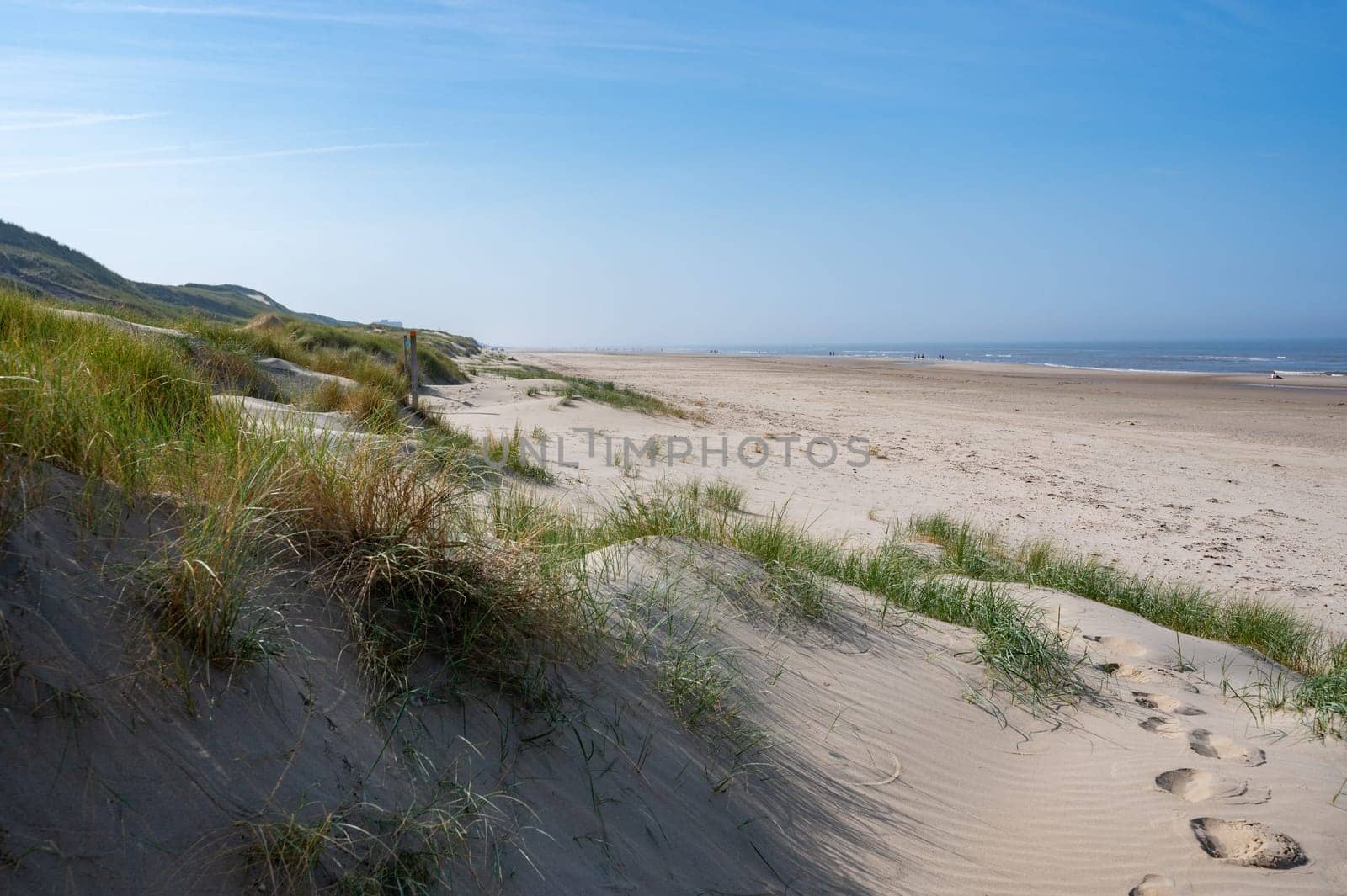 Sandy beach, sea and dunes on the North Sea coast in the Netherlands