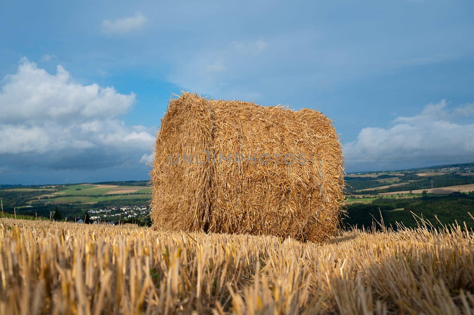 Straw bale on the field, cultivated barley, harvest in the summer, agriculture for food, farmland on the countryside