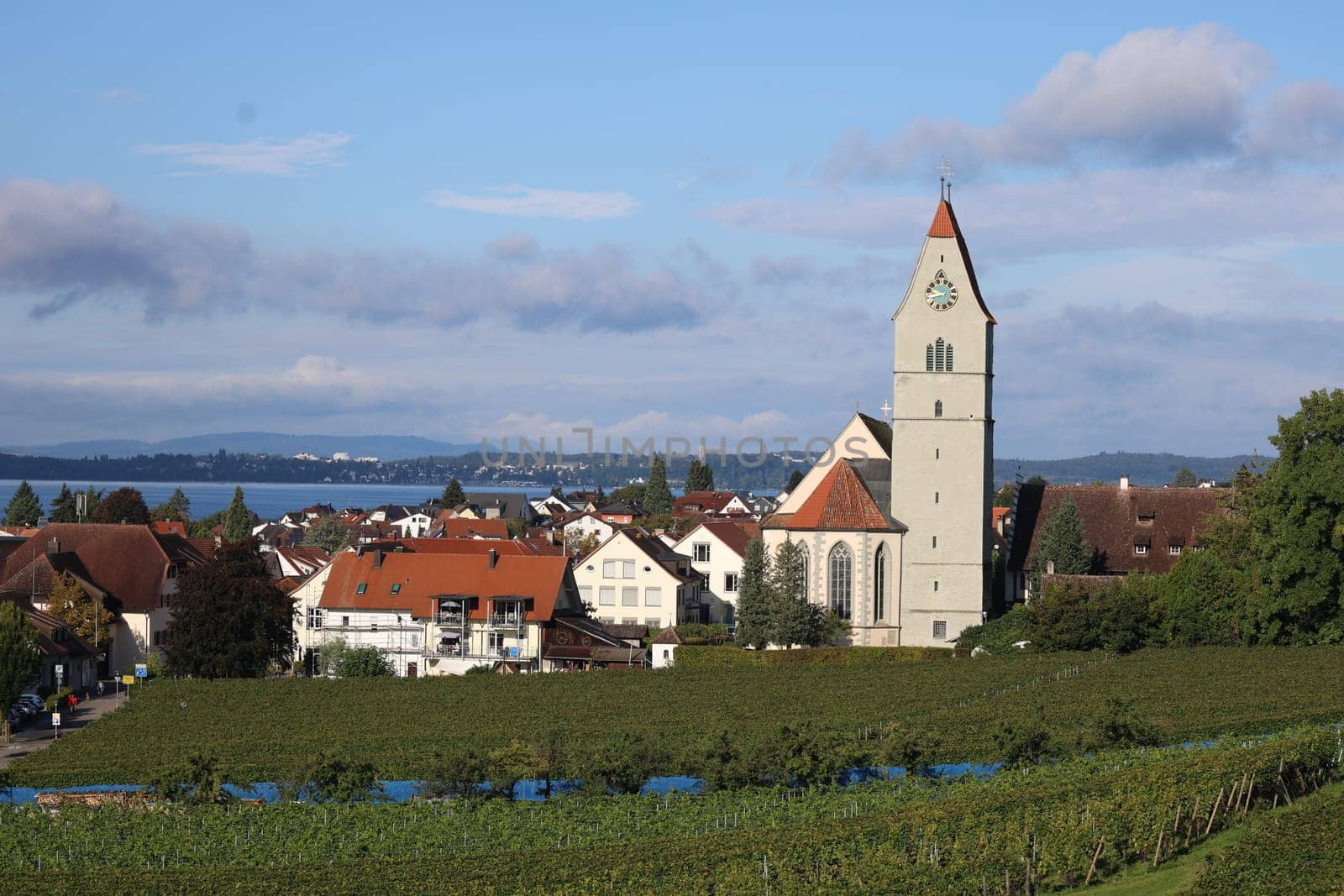 View of the Catholic Church "St. Johann Baptist"" in Hagnau"