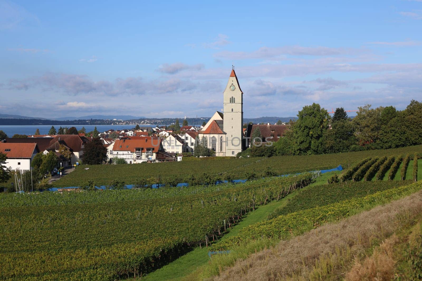 Autumn atmosphere on Lake Constance,view of Hagnau over the vineyards/vineyards to Lake Constance