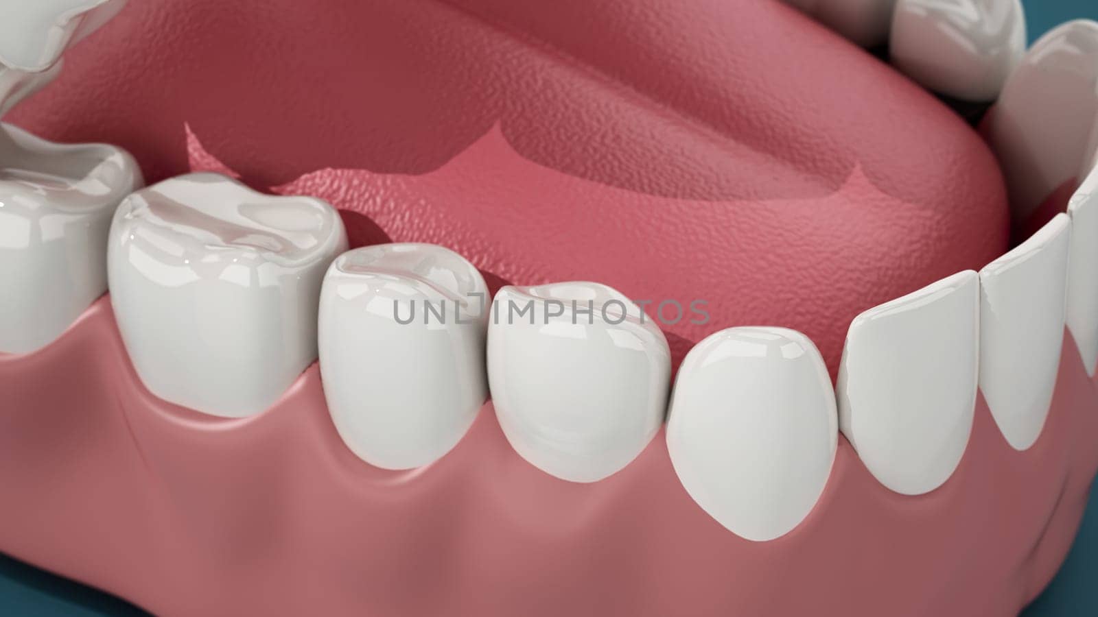Detailed 3D illustration of a model jaw with complete set of teeth. 3D illustration.