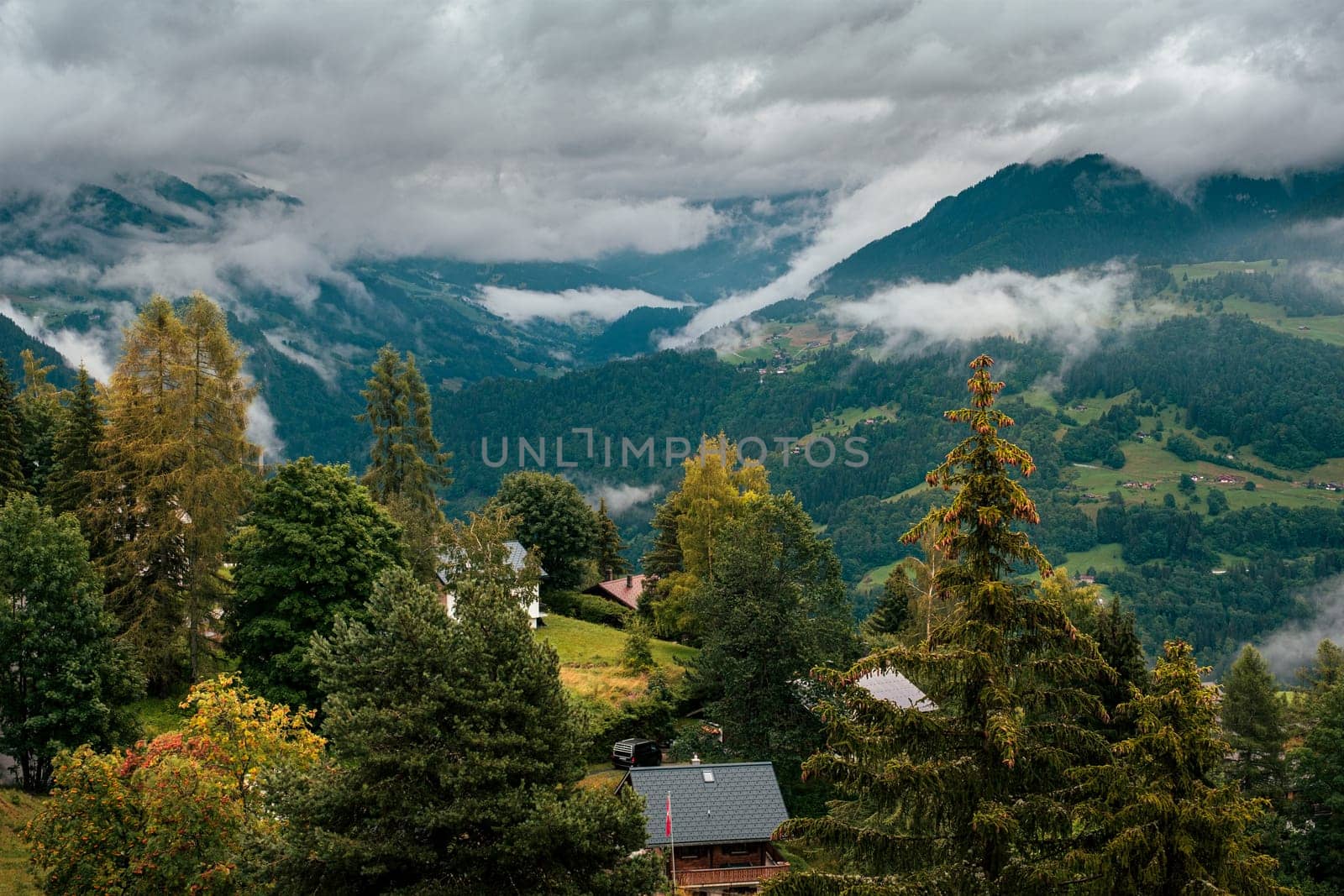 Dramatic view on the Rhone valley seen from swiss mountain village Leysin on cloudy day in summer, tall trees in foreground