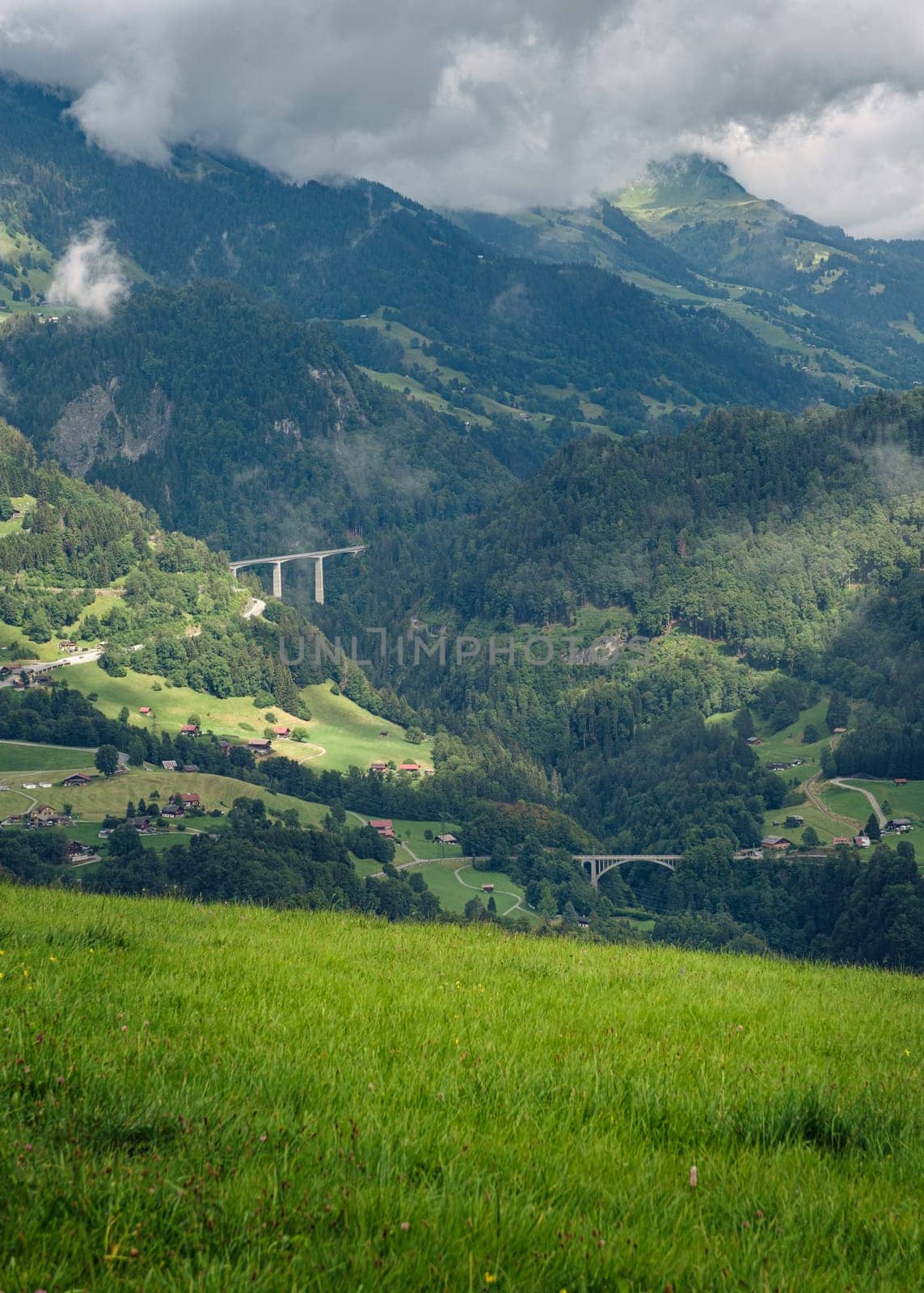 View on a green alpine valley in the Vaud Alps near Aigle on a sunny day. Leysin, Vaud, Switzerland