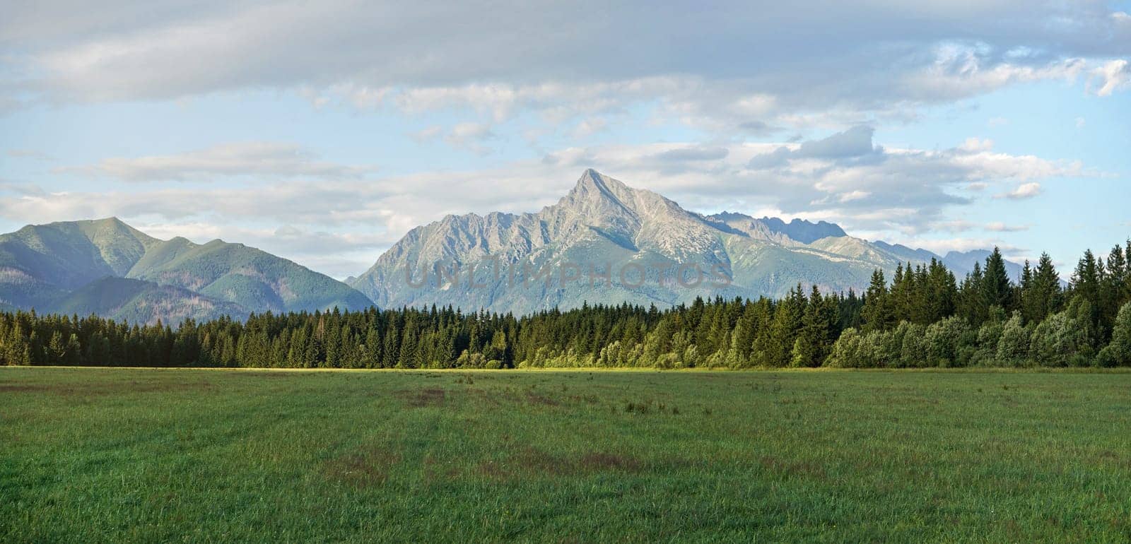 Summer meadow panorama, with forest and mount Krivan (Slovak symbol) peak in distance, afternoon clouds above