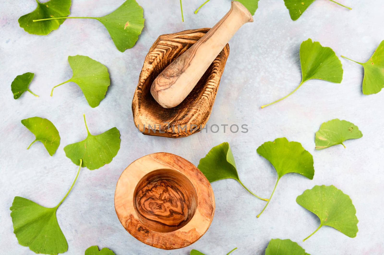 Medicinal plant ginkgo biloba, mortar and pestle on a wooden table, Ginkgo biloba herbal medicine.