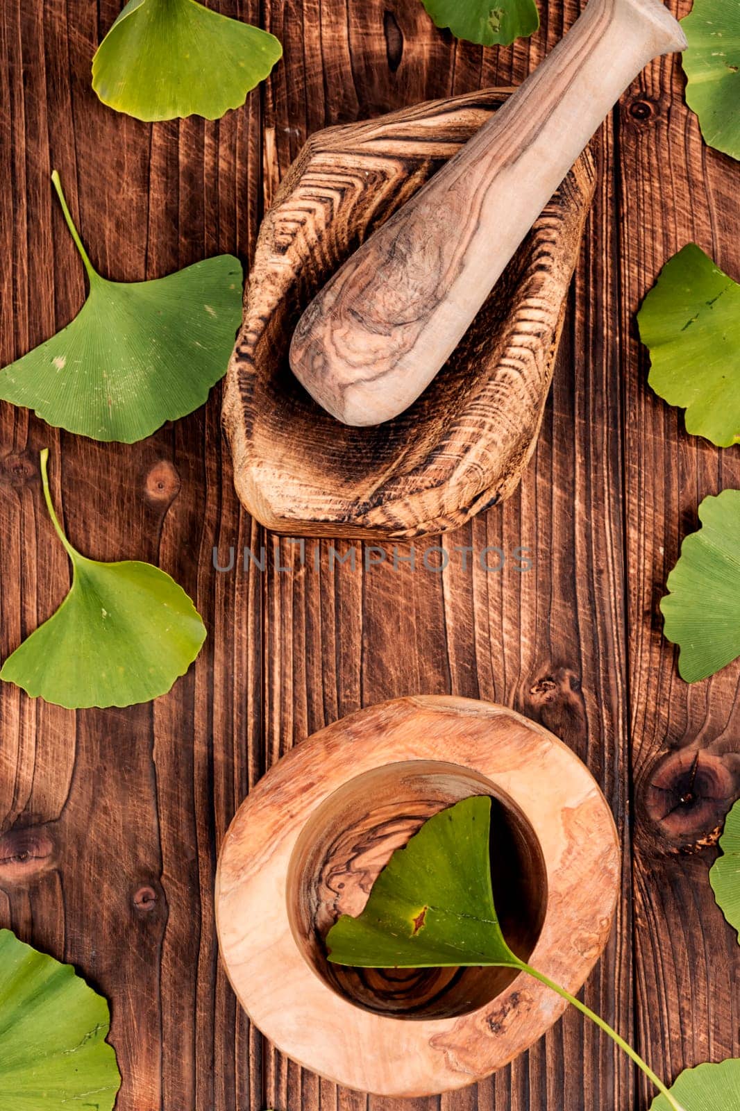 Medicinal plant ginkgo biloba, mortar and pestle on a wooden table, Ginkgo biloba herbal medicine.