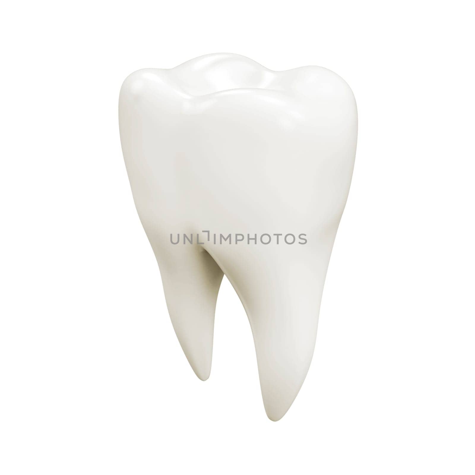Tooth isolated on white
