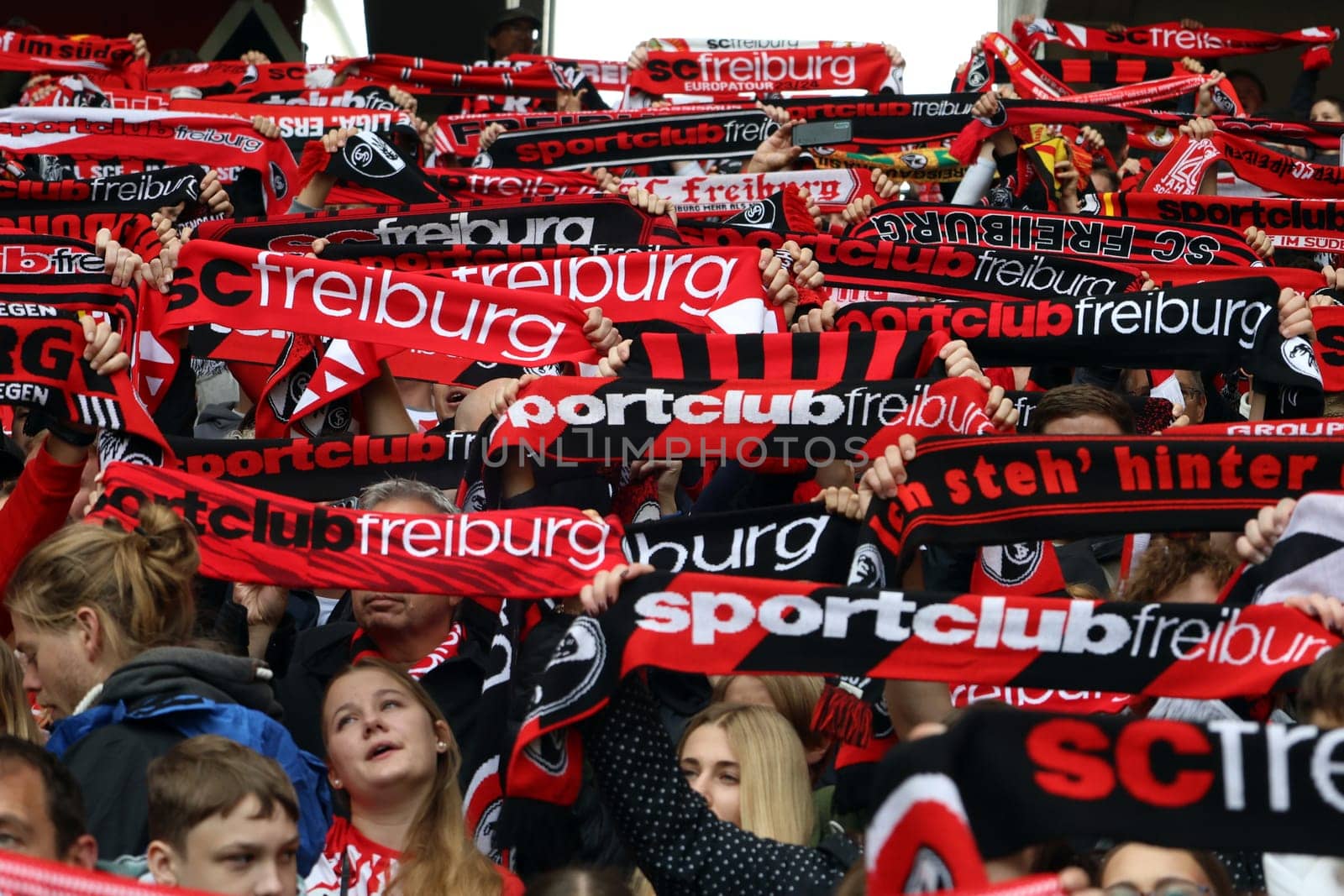 The fans of SC Freiburg not only show their colours at the Badnerlied - with fan scarves the spectators get in the mood for the game in the 1st FBL: 24-25: 1st FBL: 24-25: 5th Sptg. SC Freiburg - FC St. Pauli  DFL REGULATIONS PROHIBIT ANY USE OF PHOTOGRAPHS AS IMAGE SEQUENCES AND/OR QUASI-VIDEONann  Photo: Joachim Hahne/johapress
