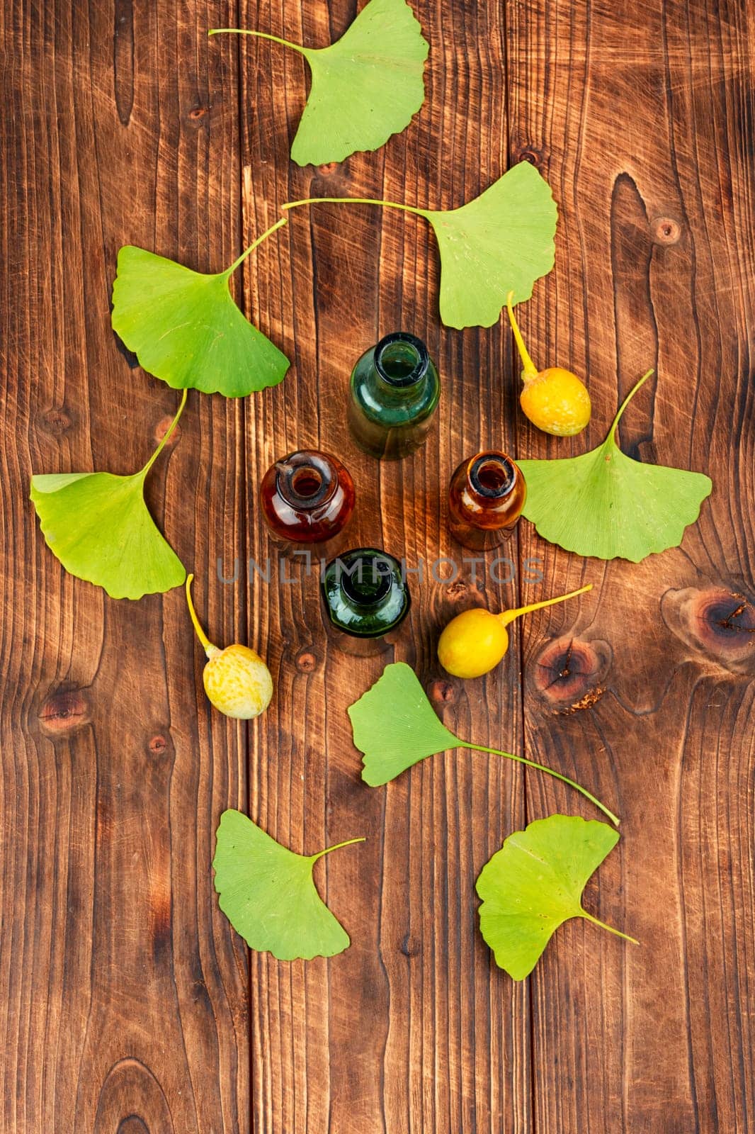 Glass jar with extract from the ginkgo with leaves and yellow nuts. Natural herbal medicine concept. Top view