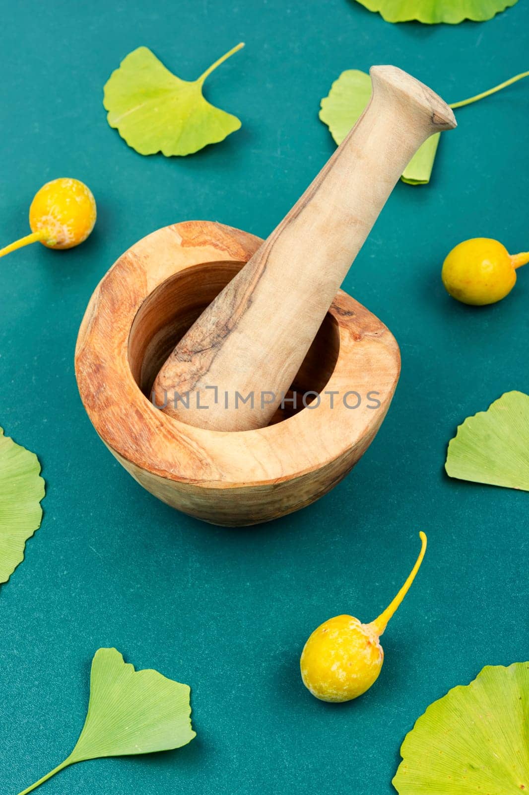 Glass jar with extract from the ginkgo with leaves and yellow nuts. Natural herbal medicine concept. Top view