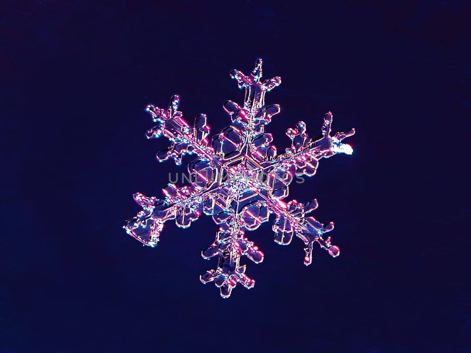 Super macro photography of snowflake. Snowflake natural crystal single isolated on dark blue background, transparent abstract photo background