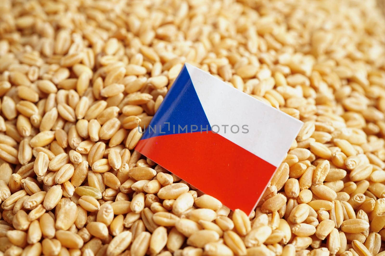 Czech flag on grain wheat, trade export and economy concept.