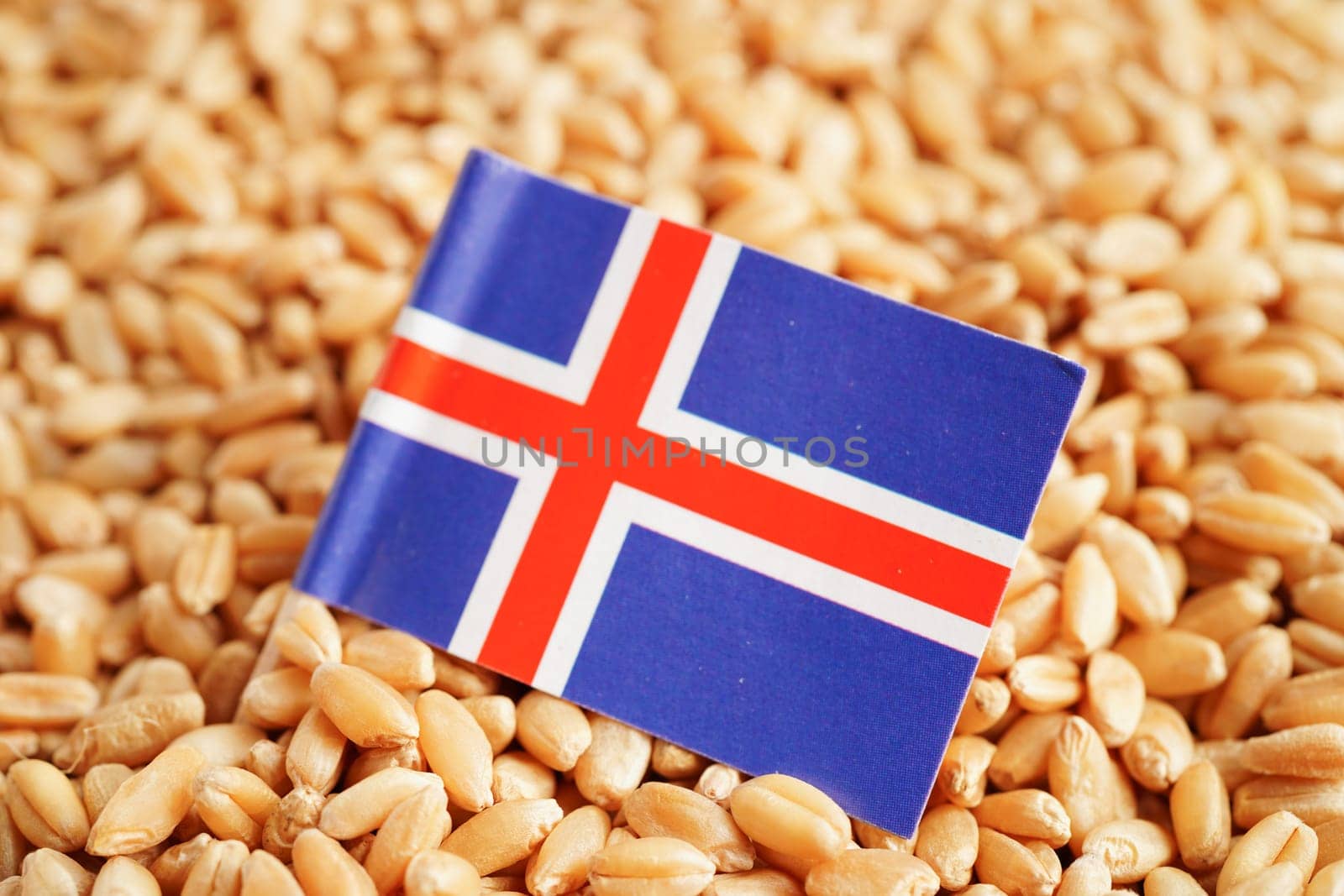 Iceland flag on grain wheat, trade export and economy concept.