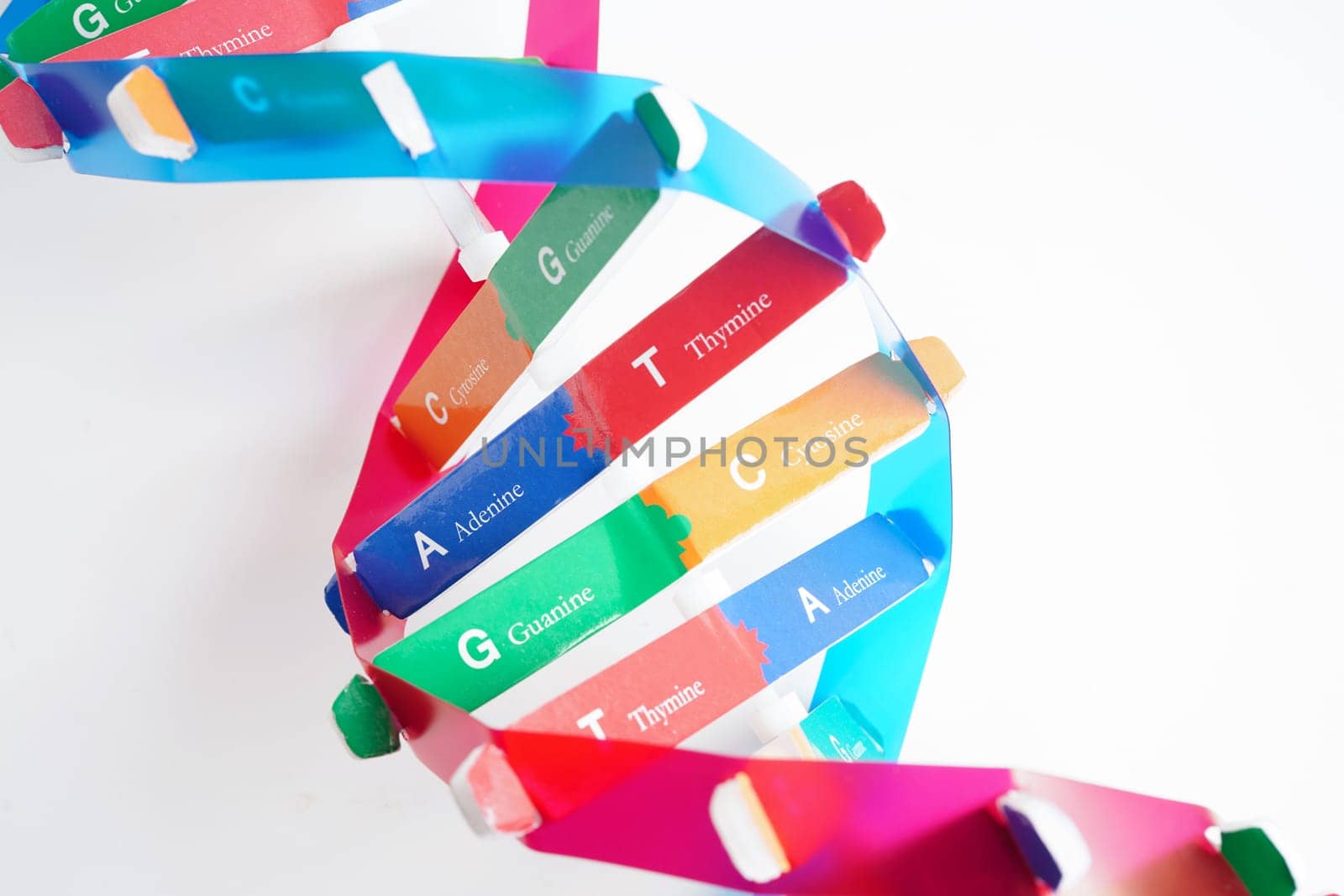 DNA molecule spiral structure model isolated on white background, chromosome and gene chemical science biology.