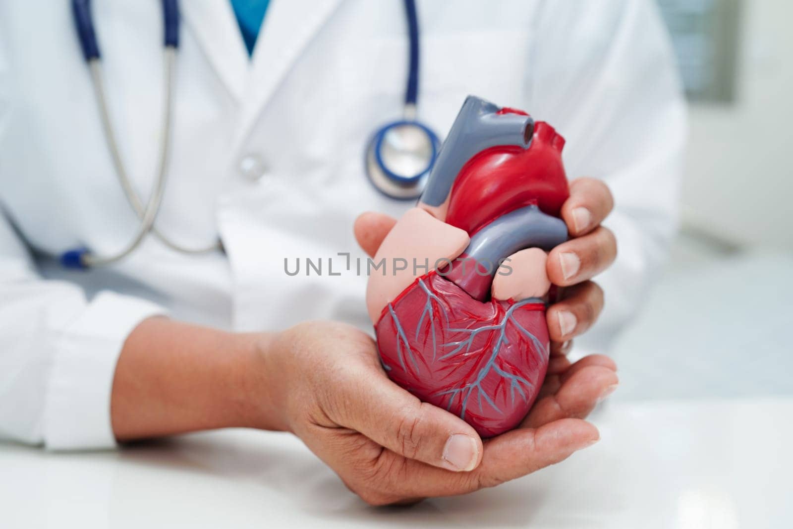 Cardiovascular disease CVD, doctor with heart human model anatomy for treatment patient in hospital.