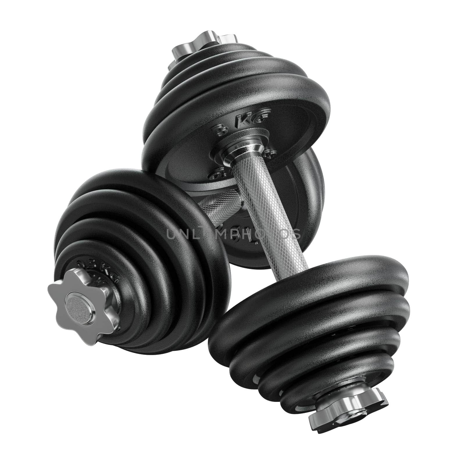 Pair of black adjustable dumbbells, weightlifting gym equipment, side view, isolated on white background. 3D illustration