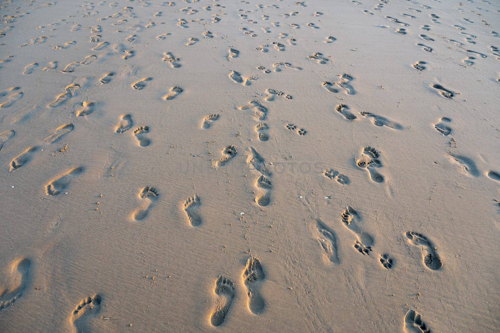 Many footprints in the wet sand by the sea, in the evening light