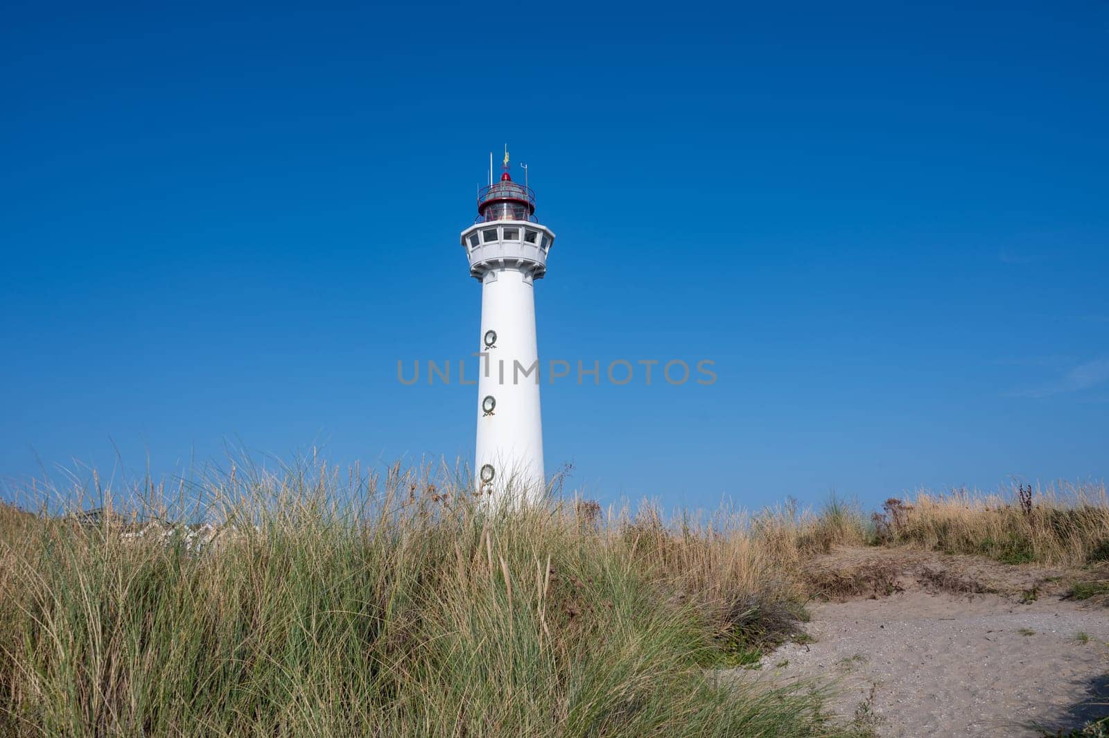 The approx. 28 m high white lighthouse J.C.J. van Speijk in Egmond aan Zee, North Holland, Netherlands, in the sand dunes with beach grass