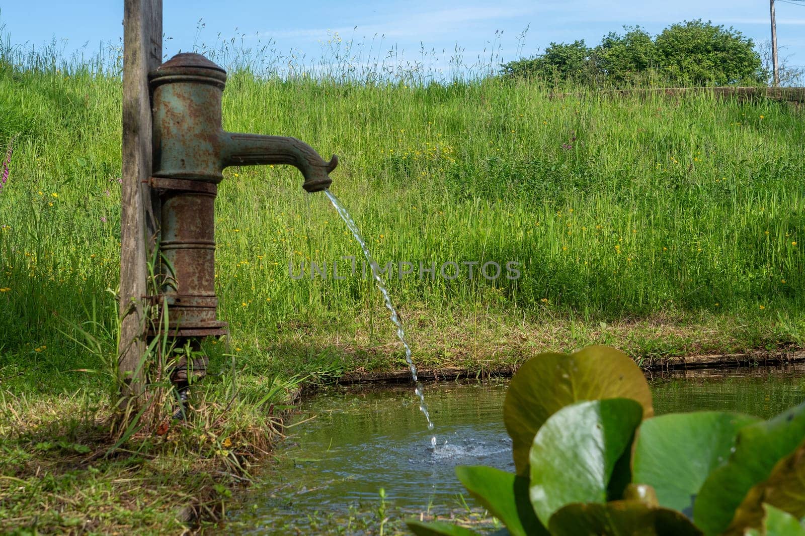 A rusty water fountain is spraying water into a pond. The water is clear and the fountain is surrounded by grass