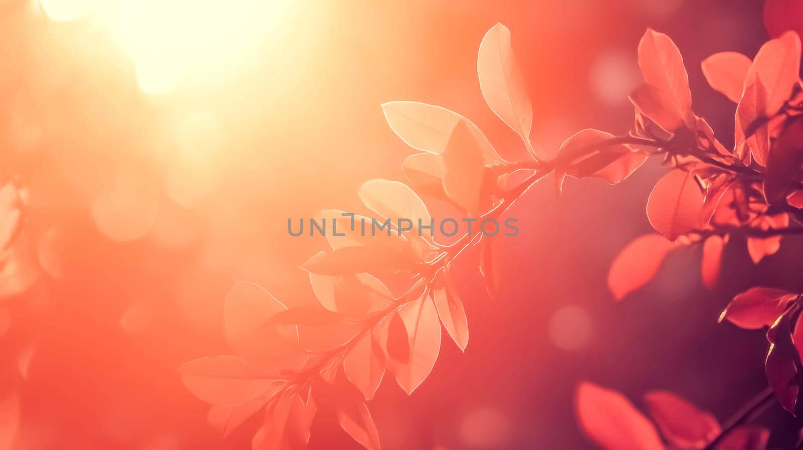 Red leaves glowing in sunset light, creating a warm autumn scene with vibrant colors and tranquil mood