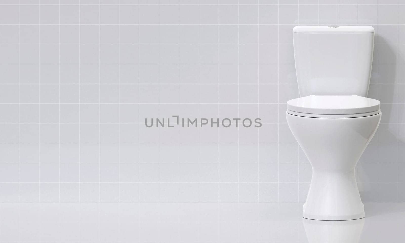 Toilet bowl in the bathroom