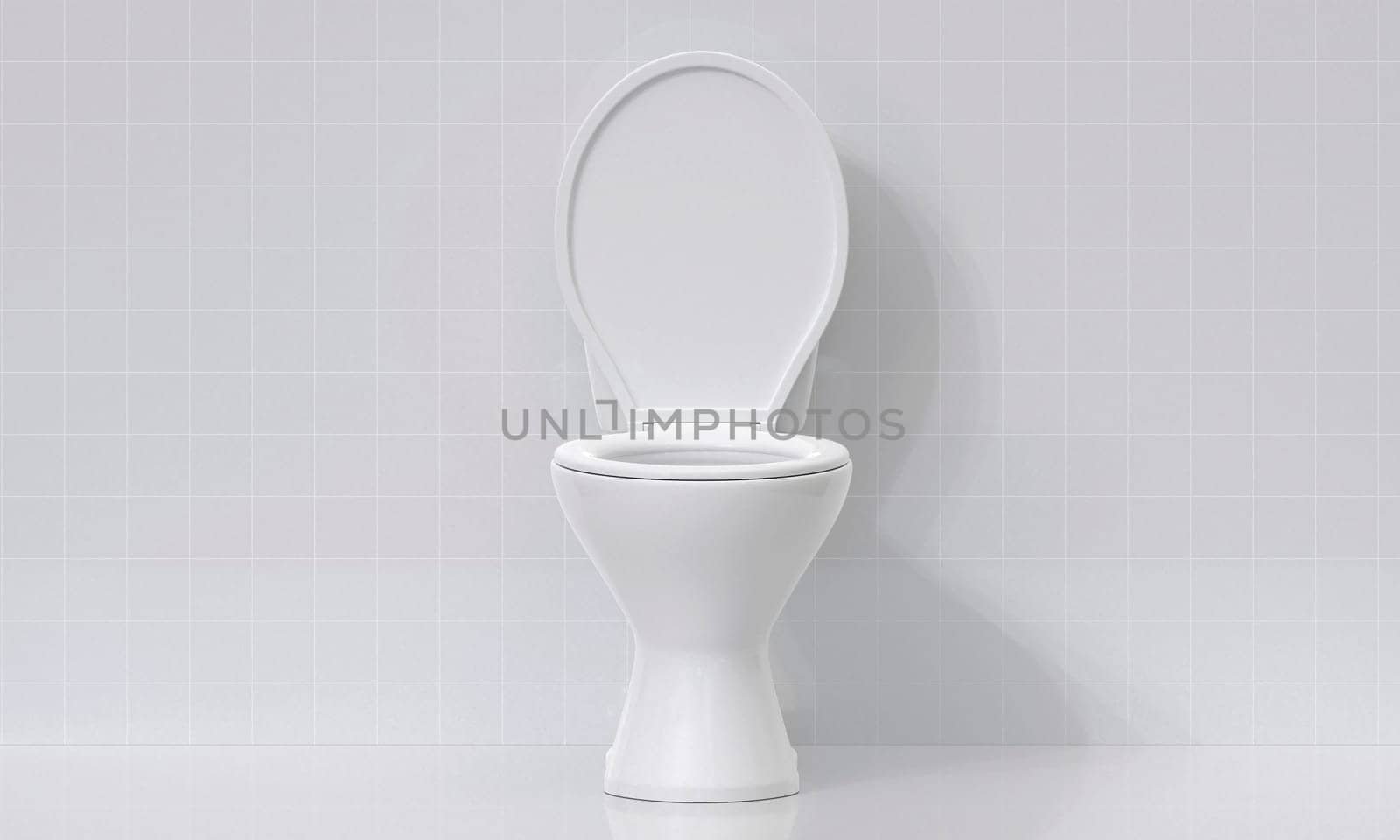 Toilet bowl in the bathroom