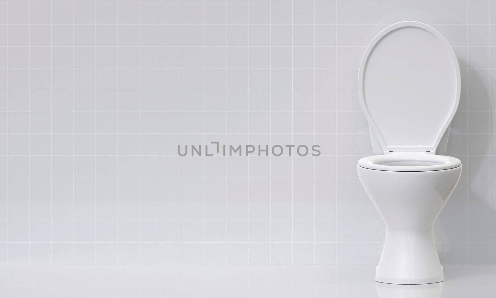 Toilet bowl in the bathroom