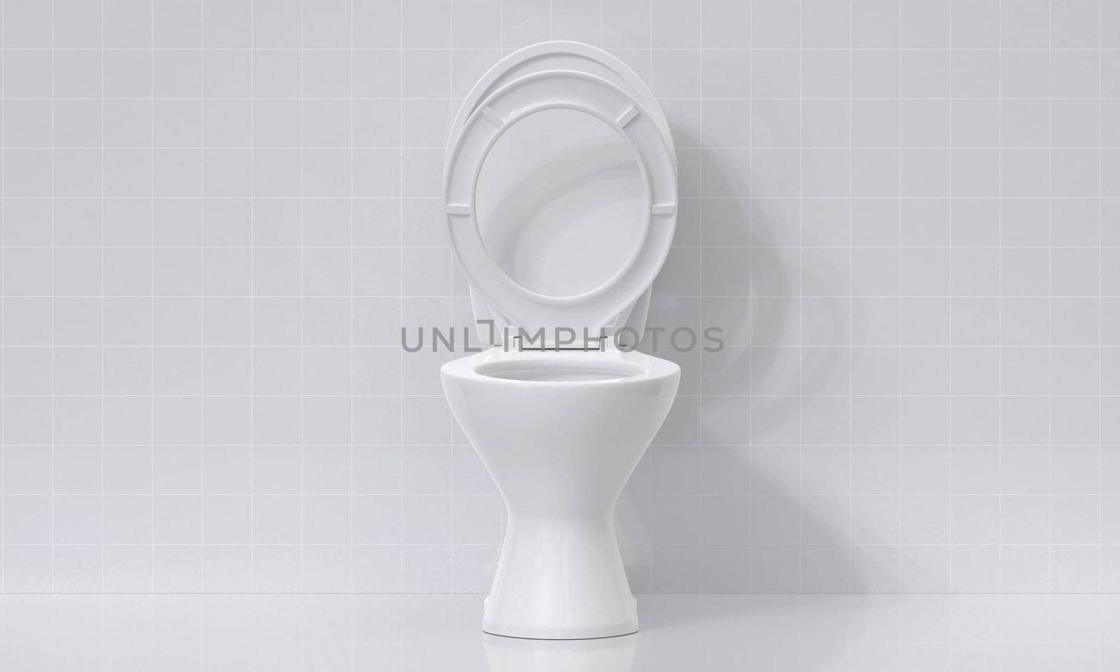 Toilet bowl in the bathroom