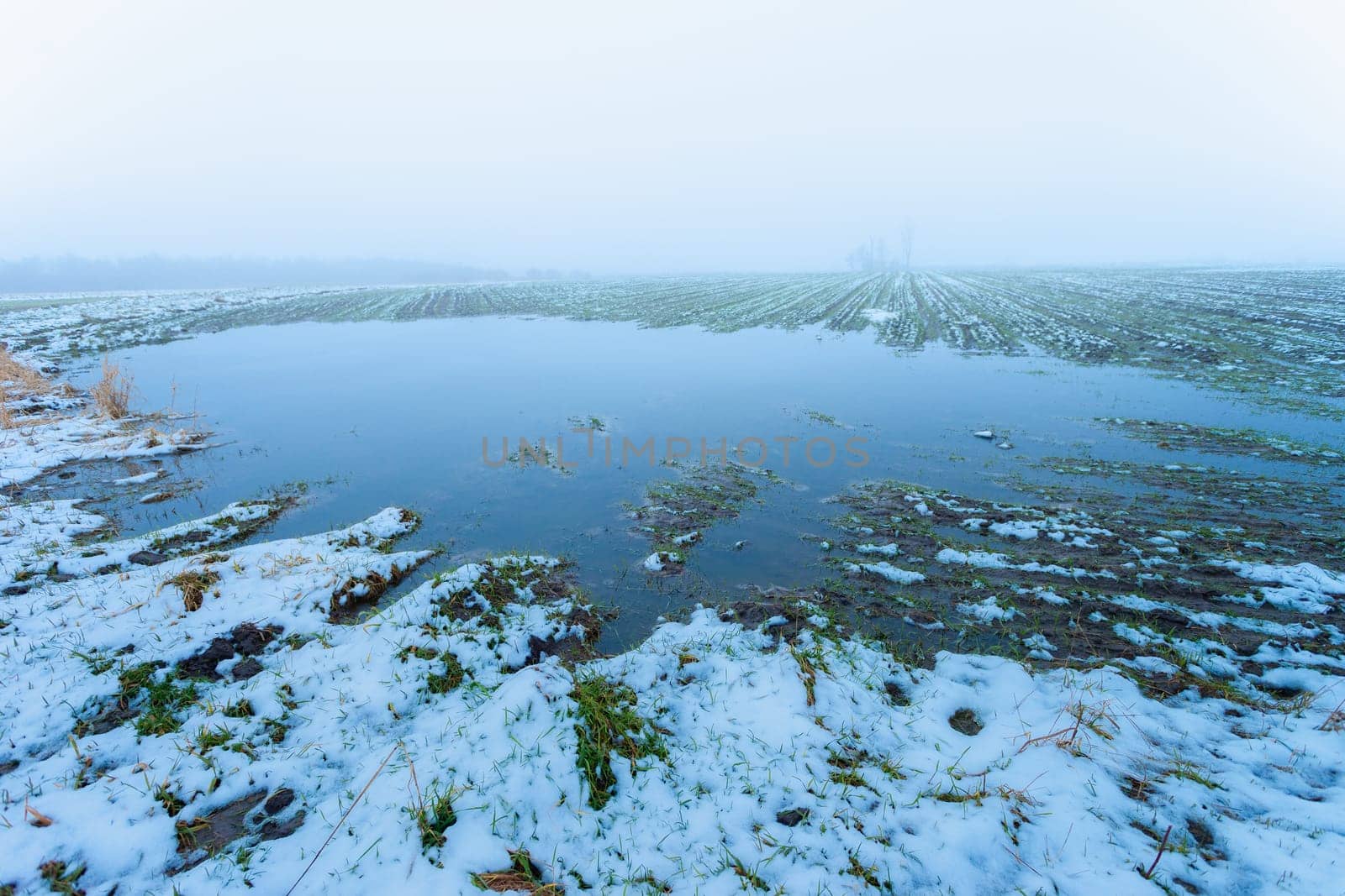 Water from melting snow on a rural field, view on a foggy day, Czulczyce, Lubelskie, Poland
