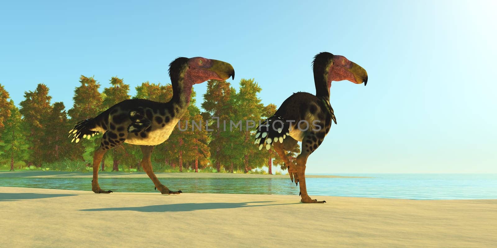 Two Kelenken Terror Birds come upon a lake during the Miocene Period of Argentina.
