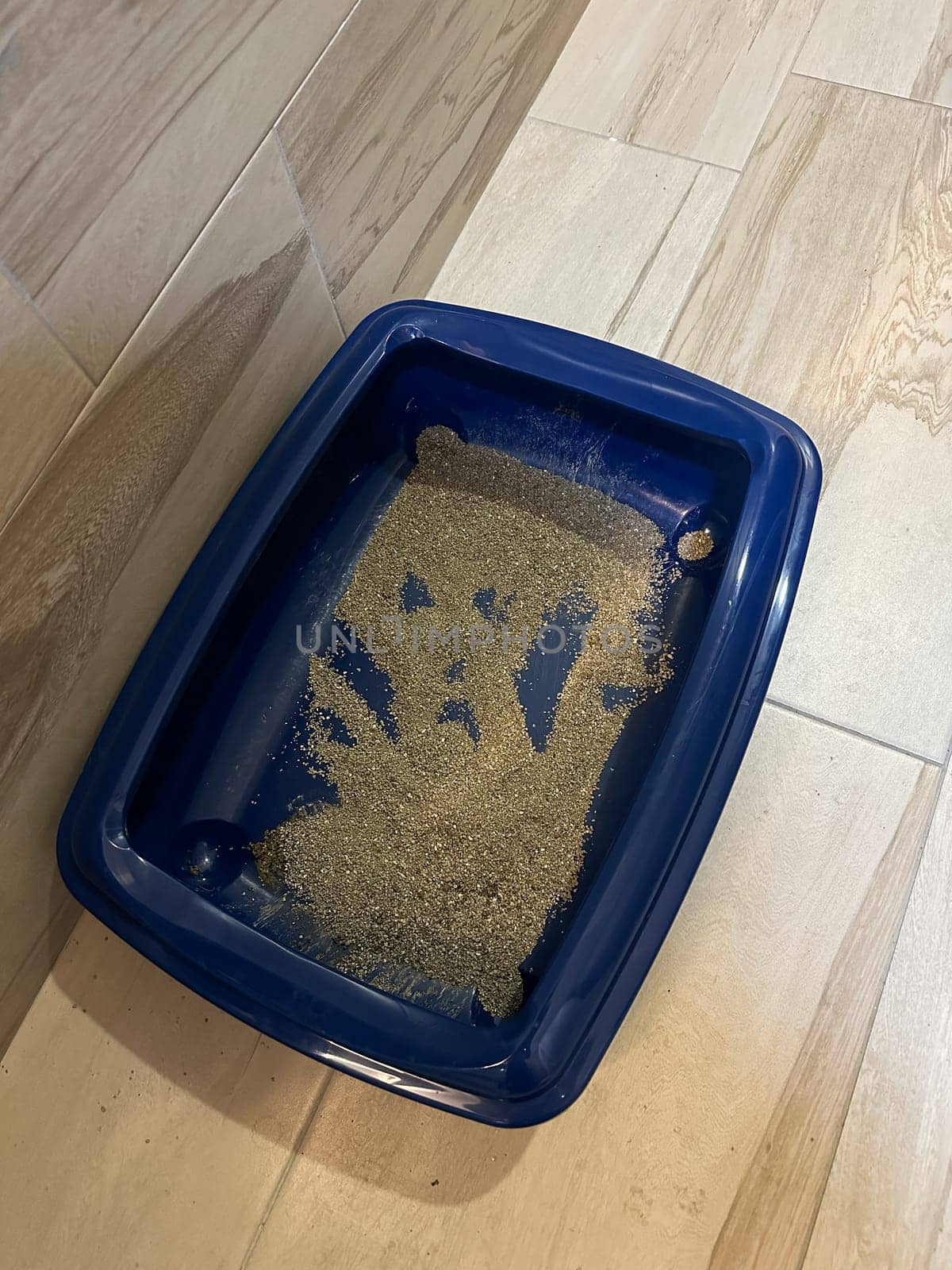 Simple blue cat litter box sits on a floor, showcasing the daily essentials of pet care in a household. Routine aspects of maintaining a clean living environment for pets. Toilet for cat.
