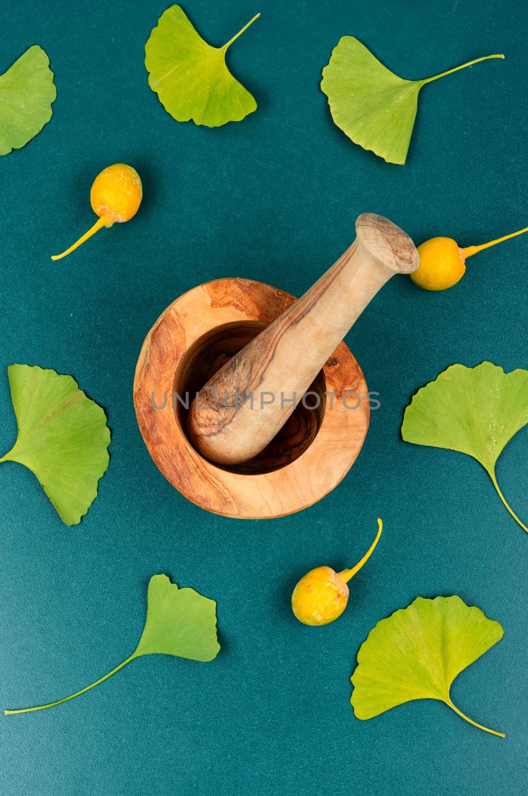 Green fan-shaped leaves and yellow nuts. Mortar and pestle. Top view