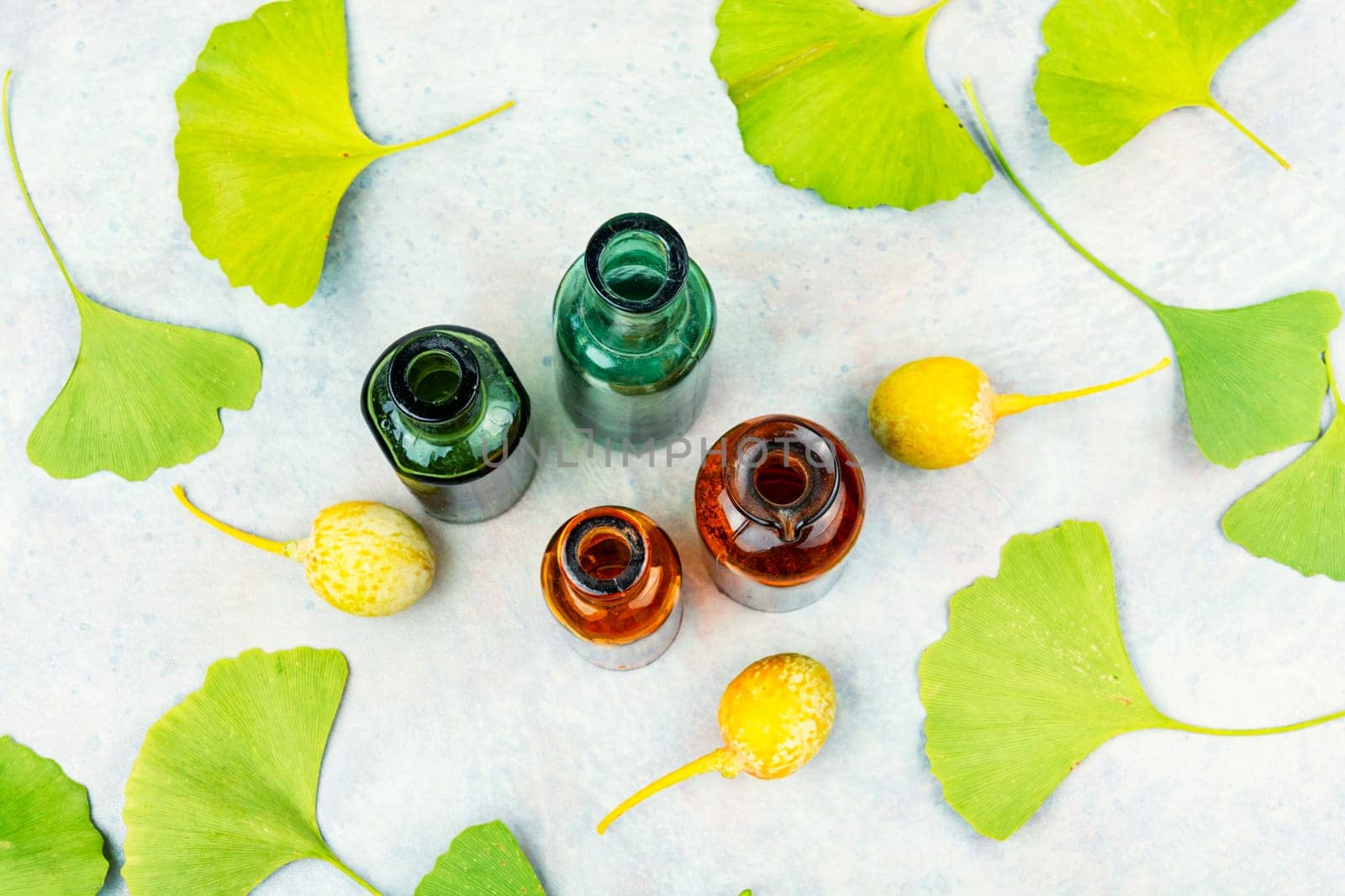 Ripe organic ginkgo fruits with fresh leaves. Alternative medicine and homeopathy. Top view