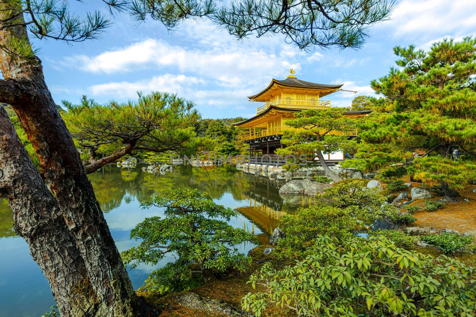 The kinkaku-ji golden pavilion kyoto reflecting  lake surrounded by trees