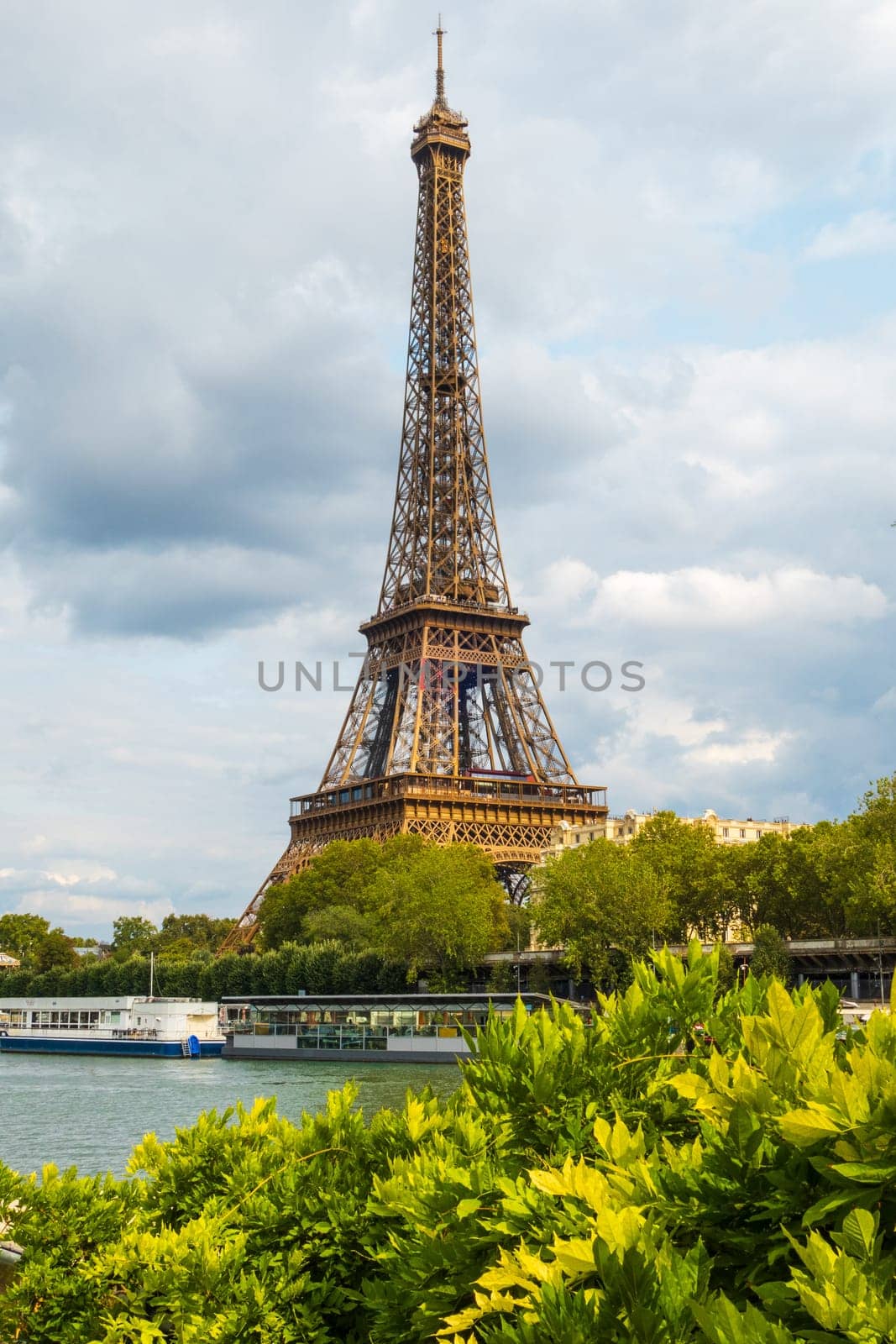 Vertical view of the Eiffel Tower from the banks with vegetation and trees