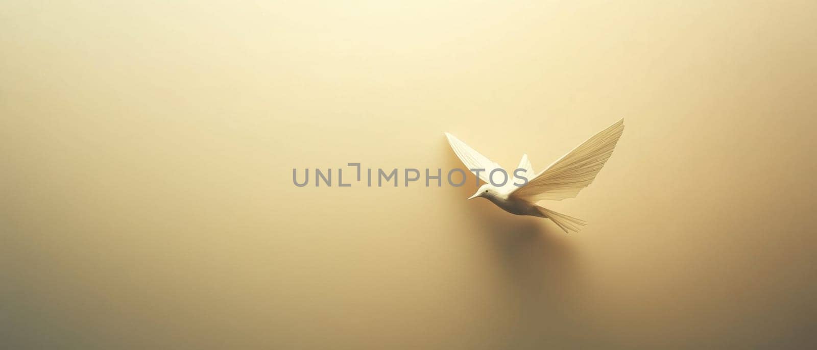 A delicate white bird flies against a warm softly illuminated background evoking a tranquil and serene moment in nature.
