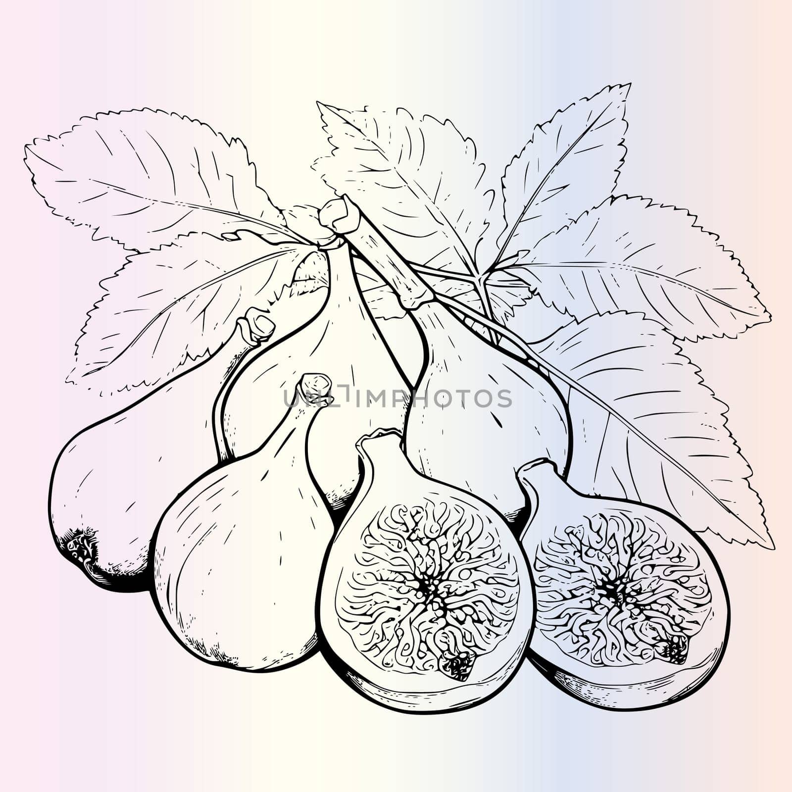 Fig Coloring Pages for Kids