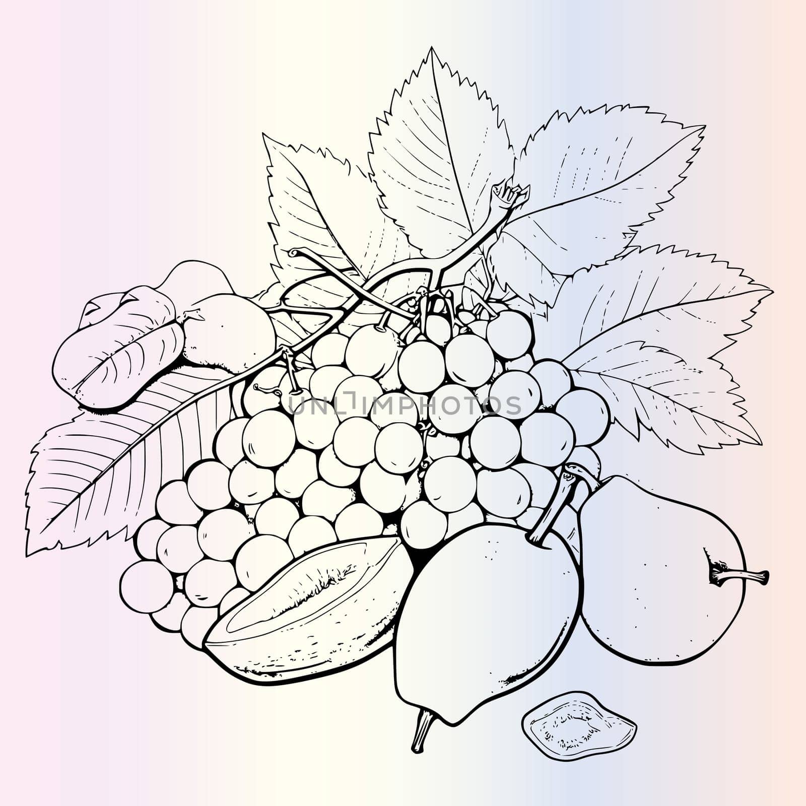Fruit Ximenia Coloring Page For Kids