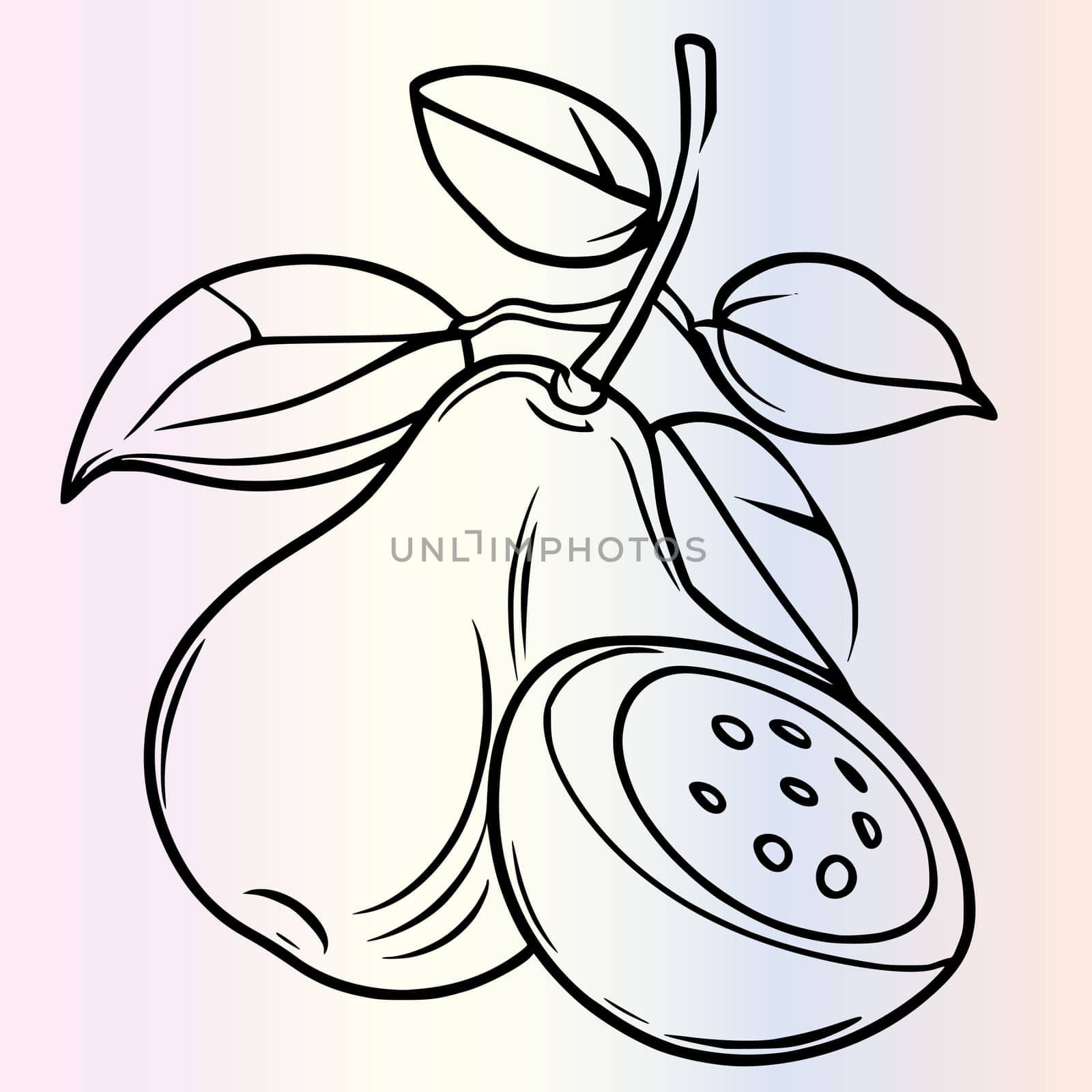 Fruit Ximenia Coloring Page For Kids