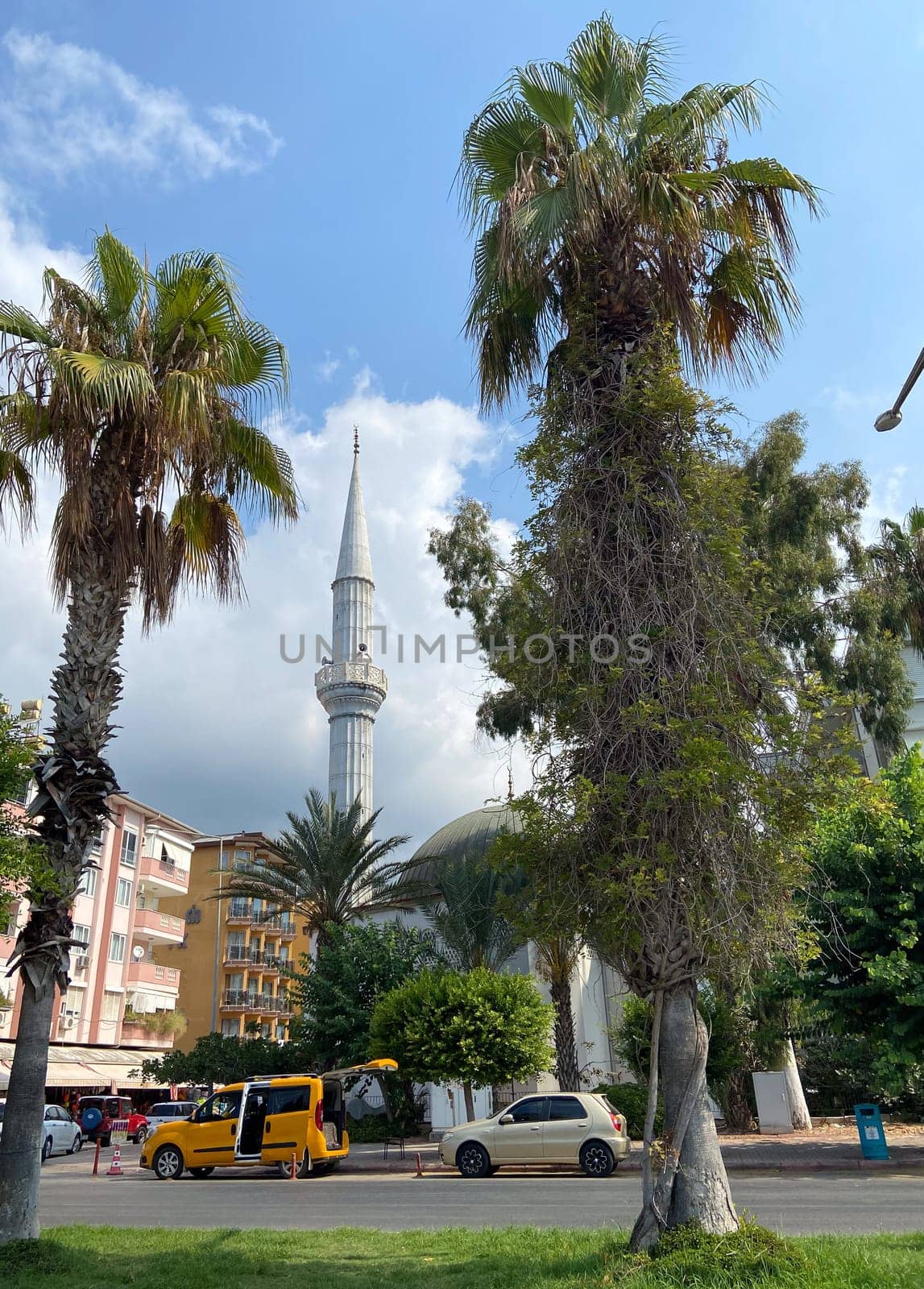 Stunning blend of palm trees and a mosque tower against a backdrop of city life and tranquil skies. Cultural architecture in an urban setting.