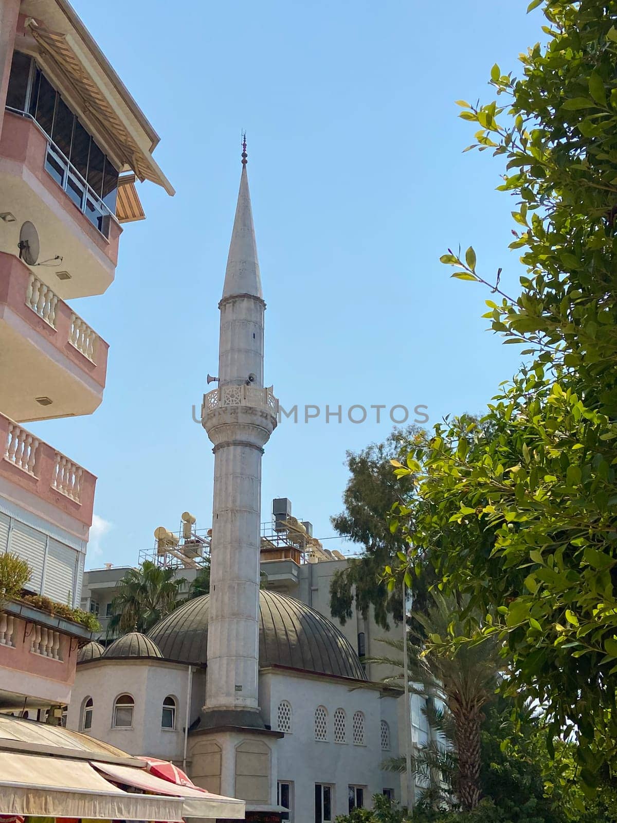 Stunning blend of palm trees and a mosque tower against a backdrop of city life and tranquil skies. Cultural architecture in an urban setting.