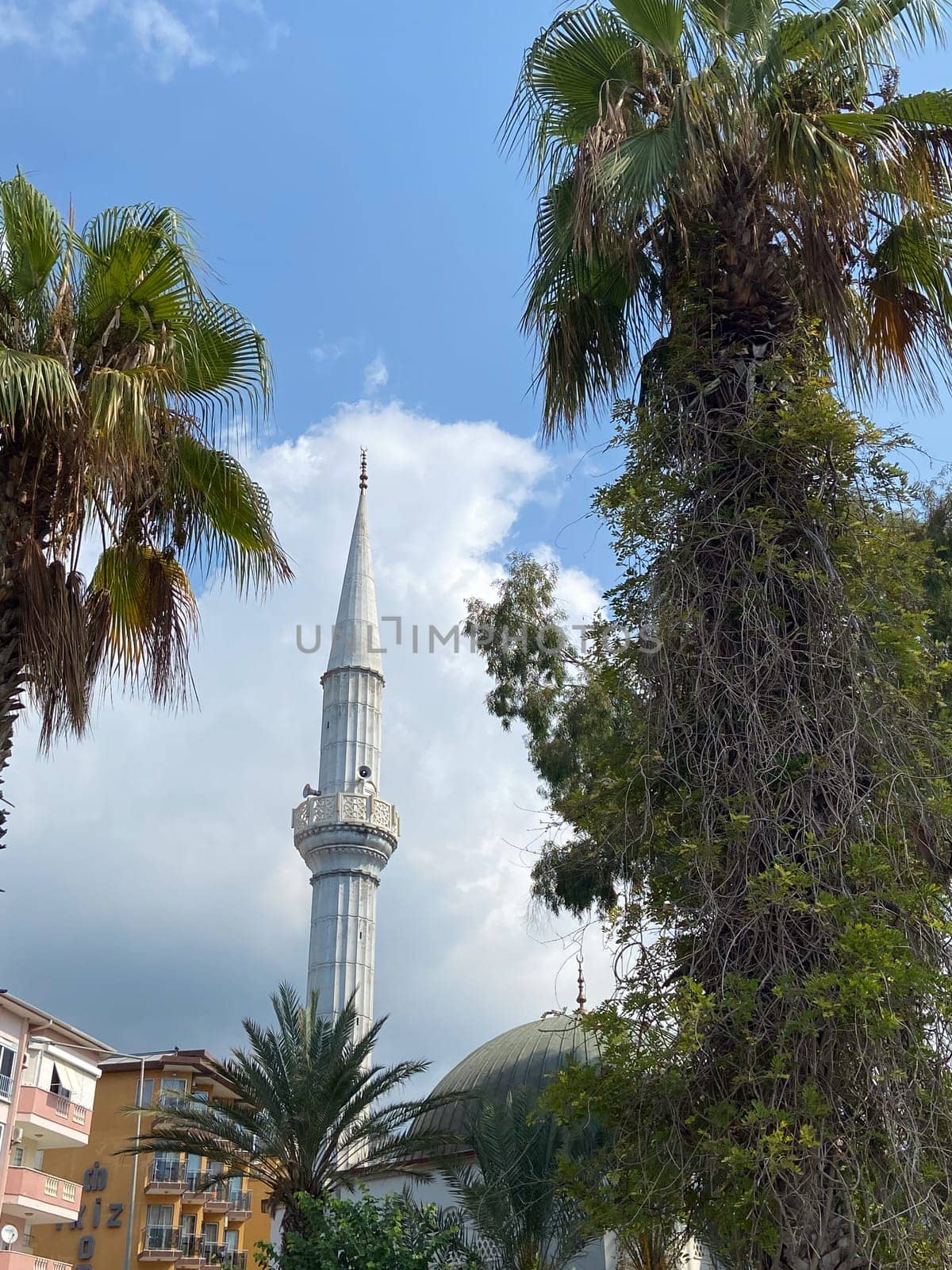 Stunning blend of palm trees and a mosque tower against a backdrop of city life and tranquil skies. Cultural architecture in an urban setting.