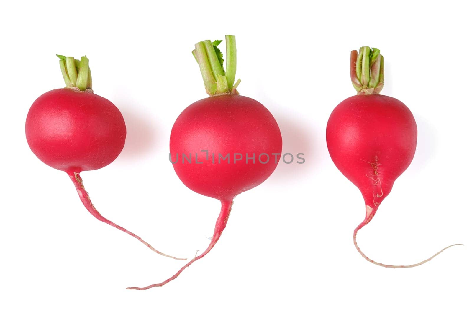 Three fresh red radishes are arranged side by side, each with bright green tops and distinct shapes. Their vibrant red skin contrasts against the white background, emphasizing their freshness.