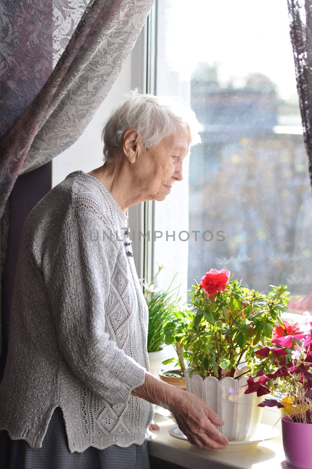 Old lonely happy woman near the window with flowers at home