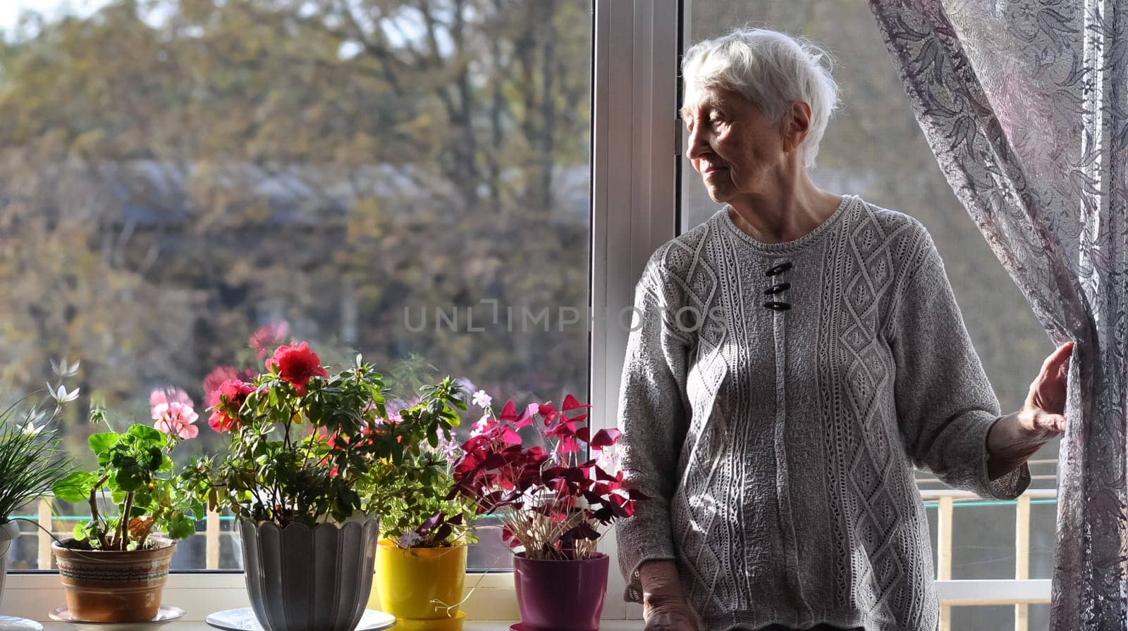Sad old woman near the window. Happy senior woman standing near window with flowers. Retired and contemplative lady at home